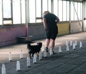 Flott durch die Flaschenreihen ohne um zu schmeißen.