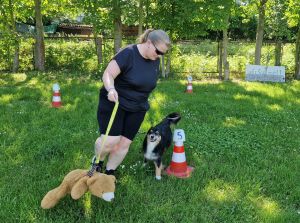 Spazieren gehen mit eigenem Hund und Ekahardt